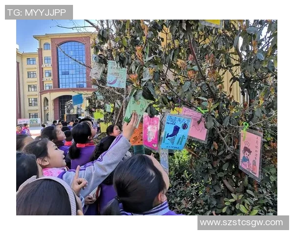 足球明星卡背设计与收藏价值深度剖析，探索卡片背面隐藏的历史与故事